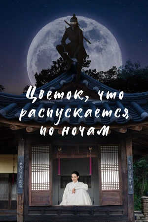 Цветок, что распускается по ночам в hd качестве