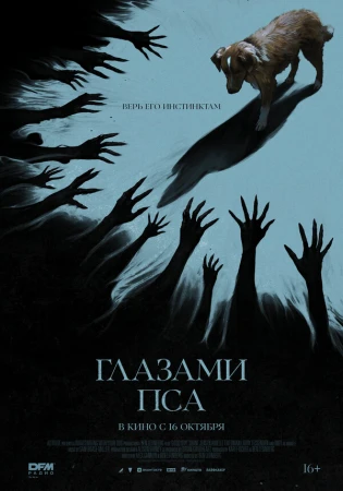 Глазами пса в hd качестве