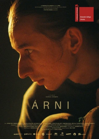 Арни в hd качестве