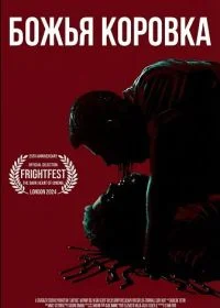 Божья коровка в hd качестве