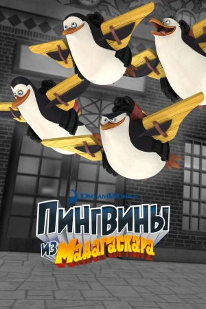 Пингвины из Мадагаскара в hd качестве