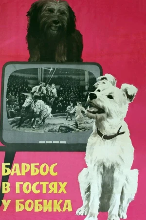 Барбос в гостях у Бобика в hd качестве