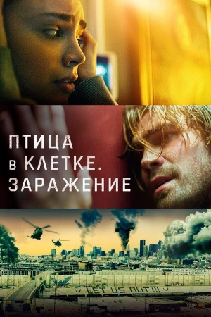 Птица в клетке. Заражение в hd качестве
