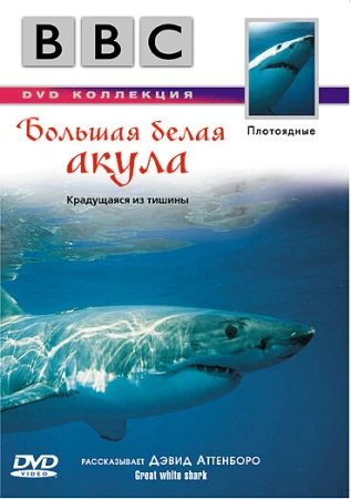 BBC: Большая белая акула в hd качестве
