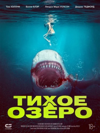 Акула бык в hd качестве