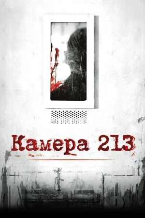 Камера 213 в hd качестве