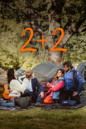 2+2 в hd качестве
