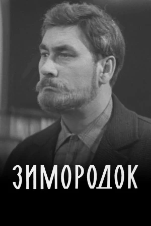 Зимородок в hd качестве