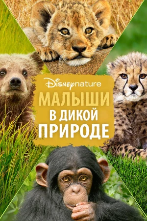 Малыши в дикой природе в hd качестве