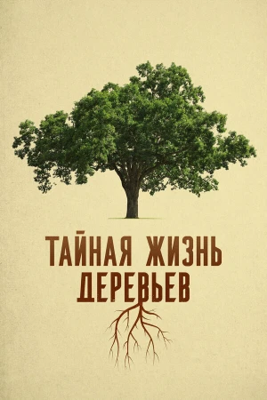 Деревья: гении мира природы в hd качестве