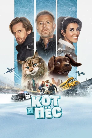 Кот и пёс в hd качестве