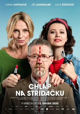 Совместная опека в hd качестве