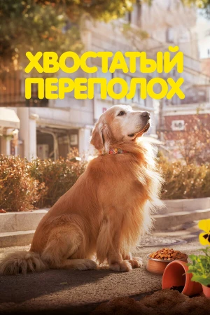 Хвостатый переполох в hd качестве