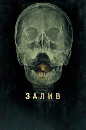Залив в hd качестве