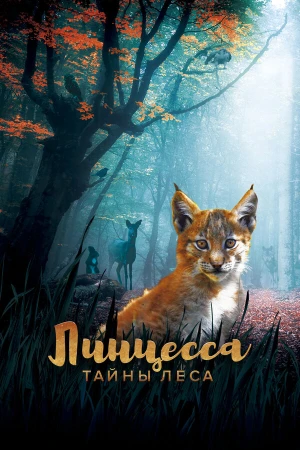 Линцесса. Тайны леса в hd качестве