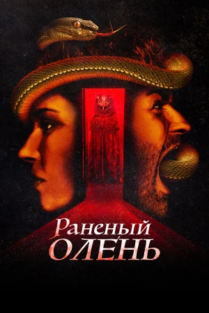 Раненый оленёнок в hd качестве