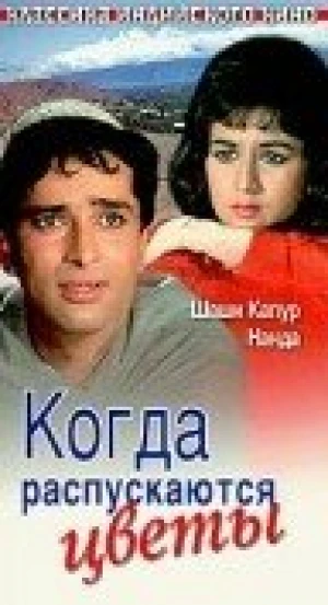 Когда распускаются цветы в hd качестве