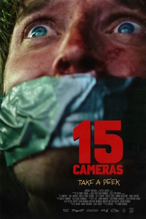 15 камер в hd качестве