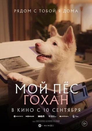 Мой пёс Гохан в hd качестве
