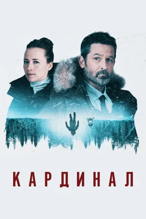 Кардинал в hd качестве