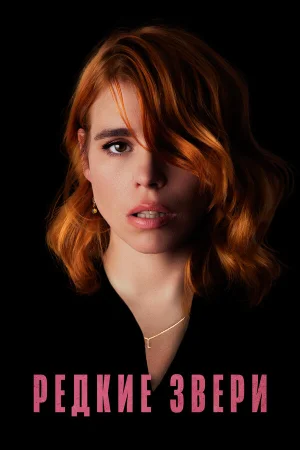 Редкие звери в hd качестве