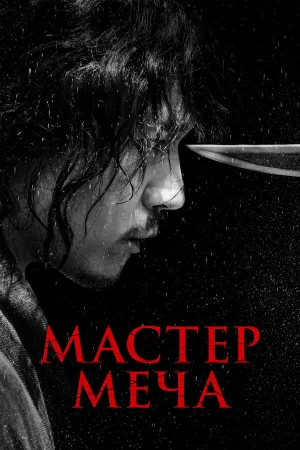 Мастер меча в hd качестве
