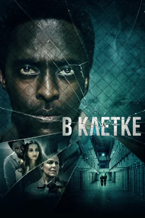 В клетке в hd качестве