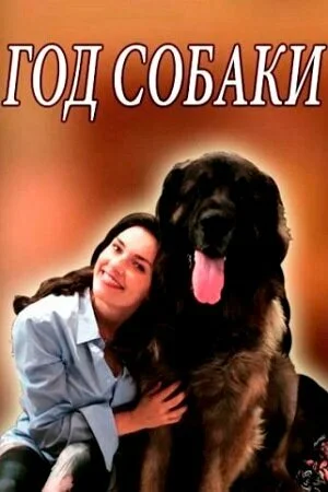 Год собаки в hd качестве