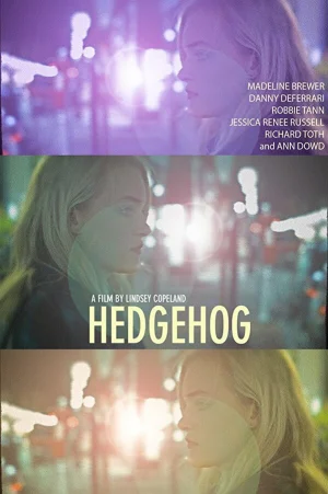 Ежик в hd качестве