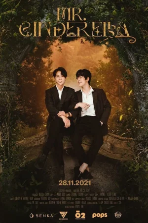Мистер Золушка в hd качестве