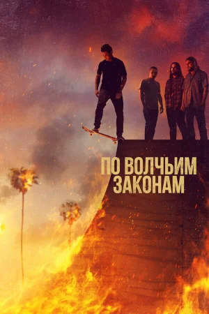 По волчьим законам в hd качестве